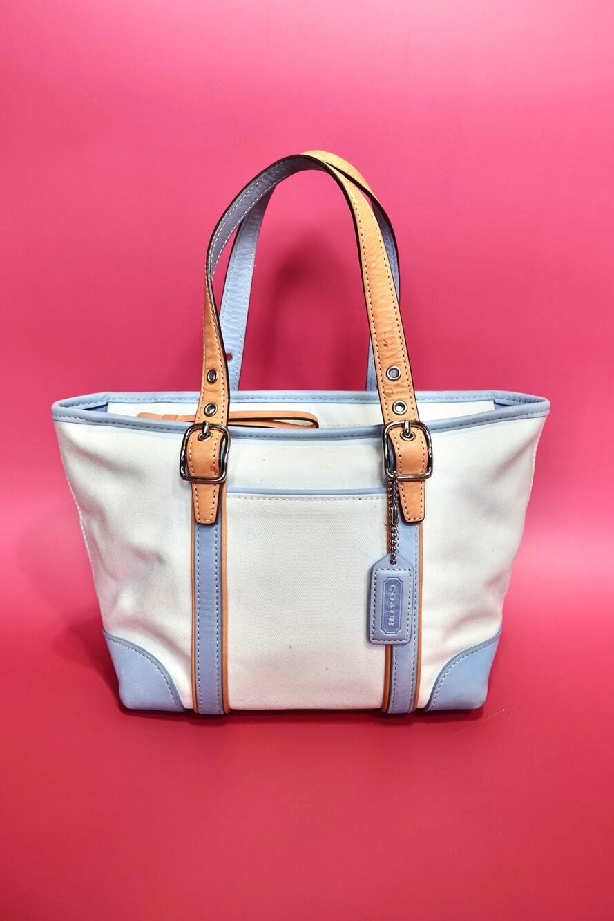 Coach Mini Tote